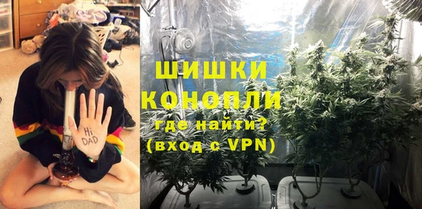 спиды Горняк