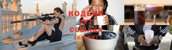 спиды Горняк