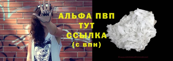 спиды Горняк