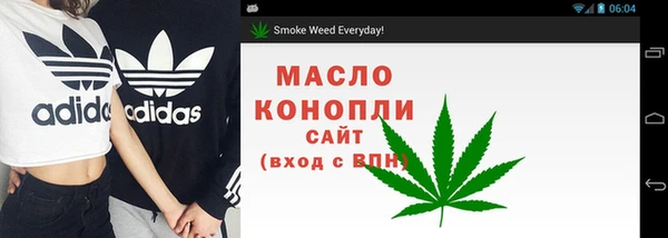 спиды Горняк