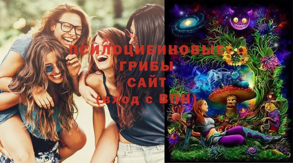 герыч Горнозаводск