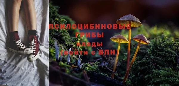 герыч Горнозаводск